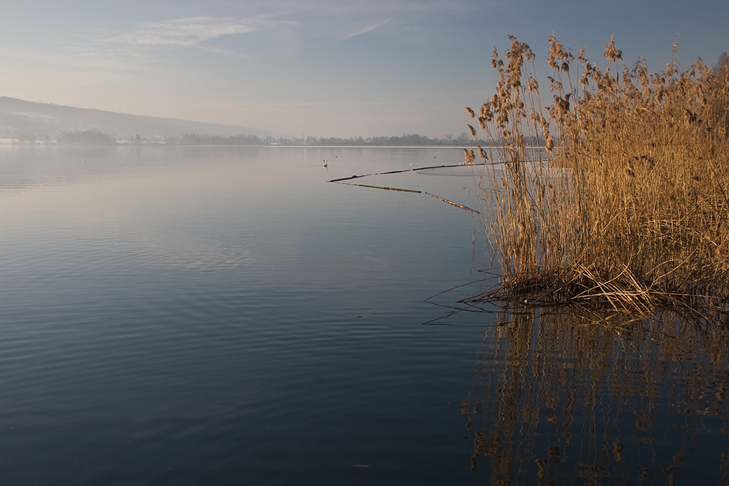 Greifensee 1.jpg